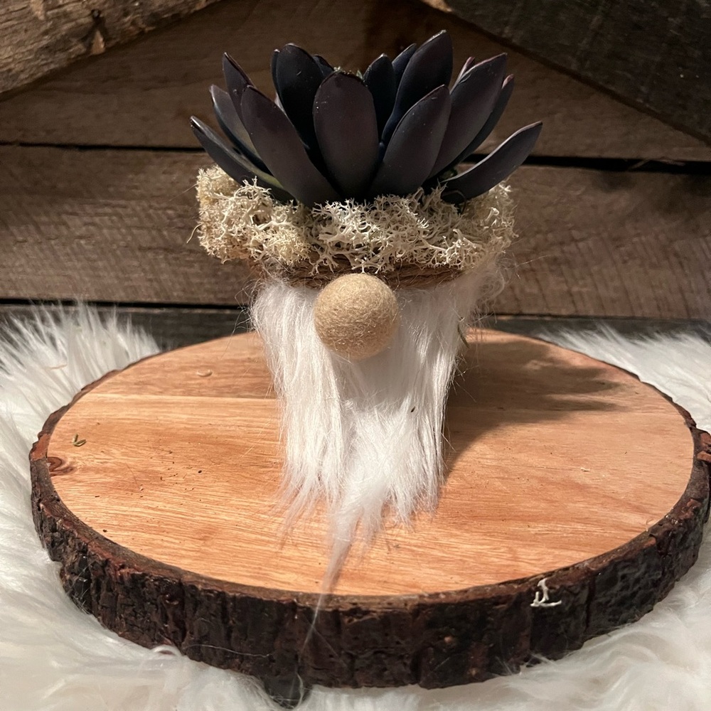 Charming Black Succulent Gnome Decor